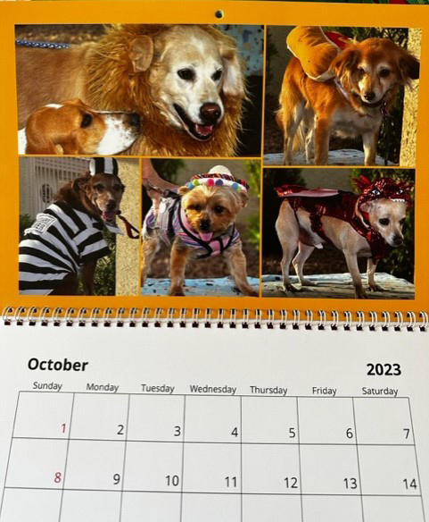 Village Rovers 2025 Calendar