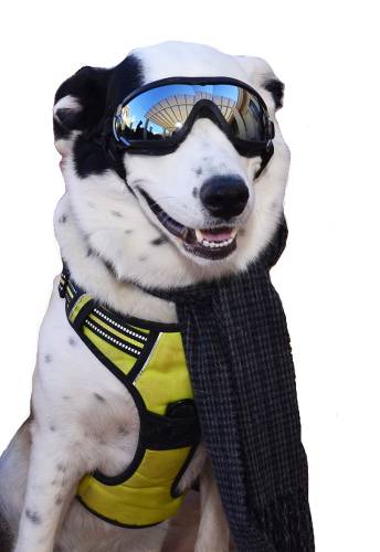 Kona